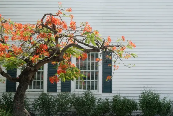 The Benefits Of Hiring A Professional For Siding Installation in Malden MA